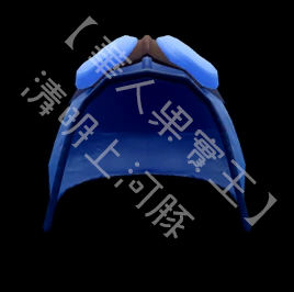 Pilot Helmet