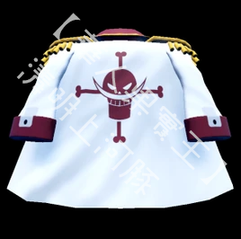 Vice Admiral's Coat