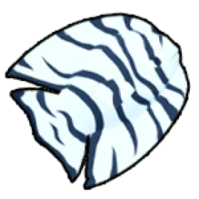 神仙魚 Angelfish