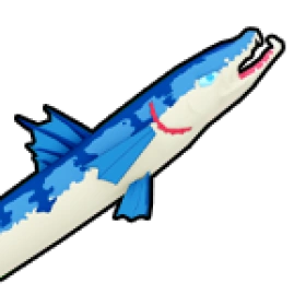 梭魚 Barracuda