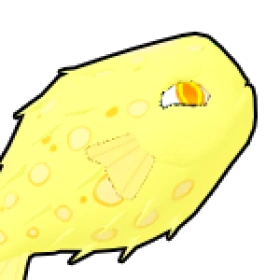 河豚 Pufferfish