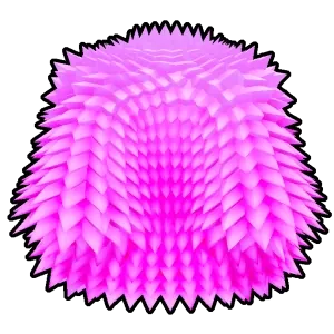 粉紅外套(Pink Coat)