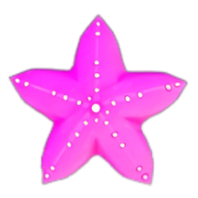 海星（粉） Starfish (Pink)
