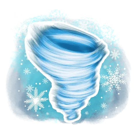 暴風雪・外觀