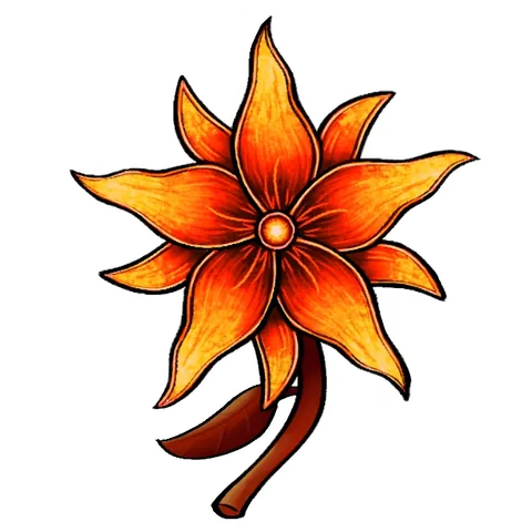 火焰花・外觀