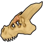 暴龍頭骨（T-Rex Skull）